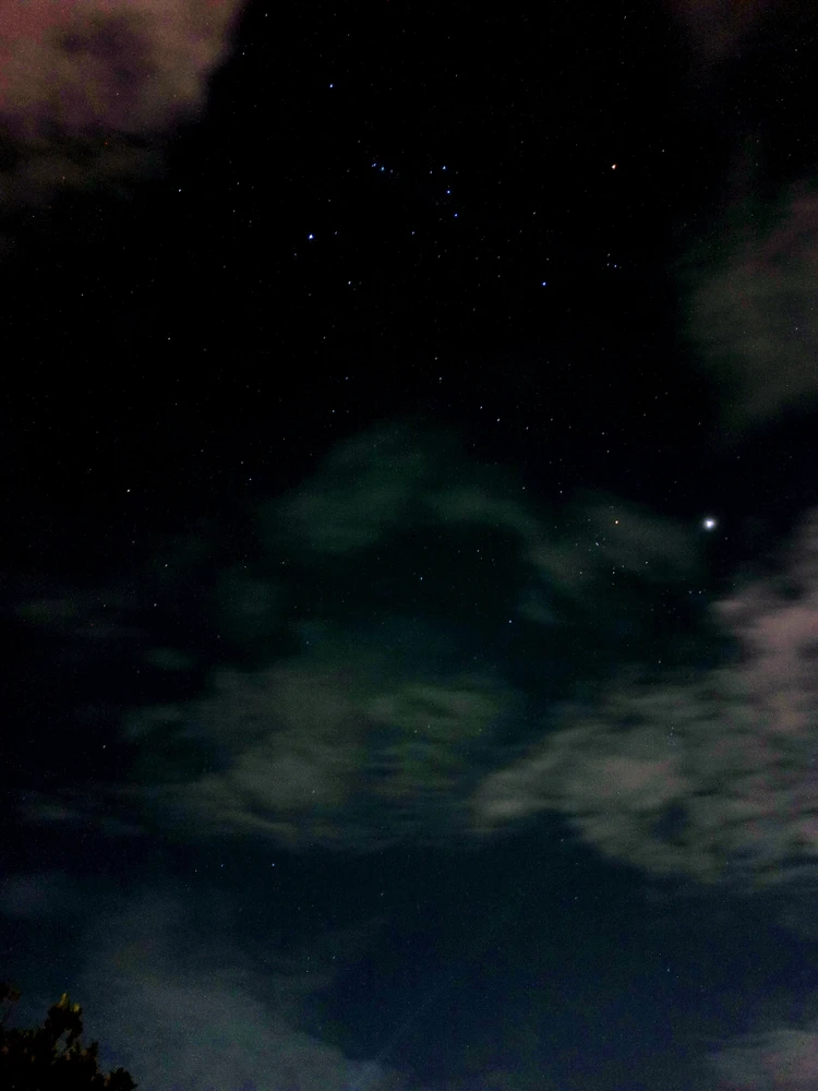 GIF diunggah oleh Yann