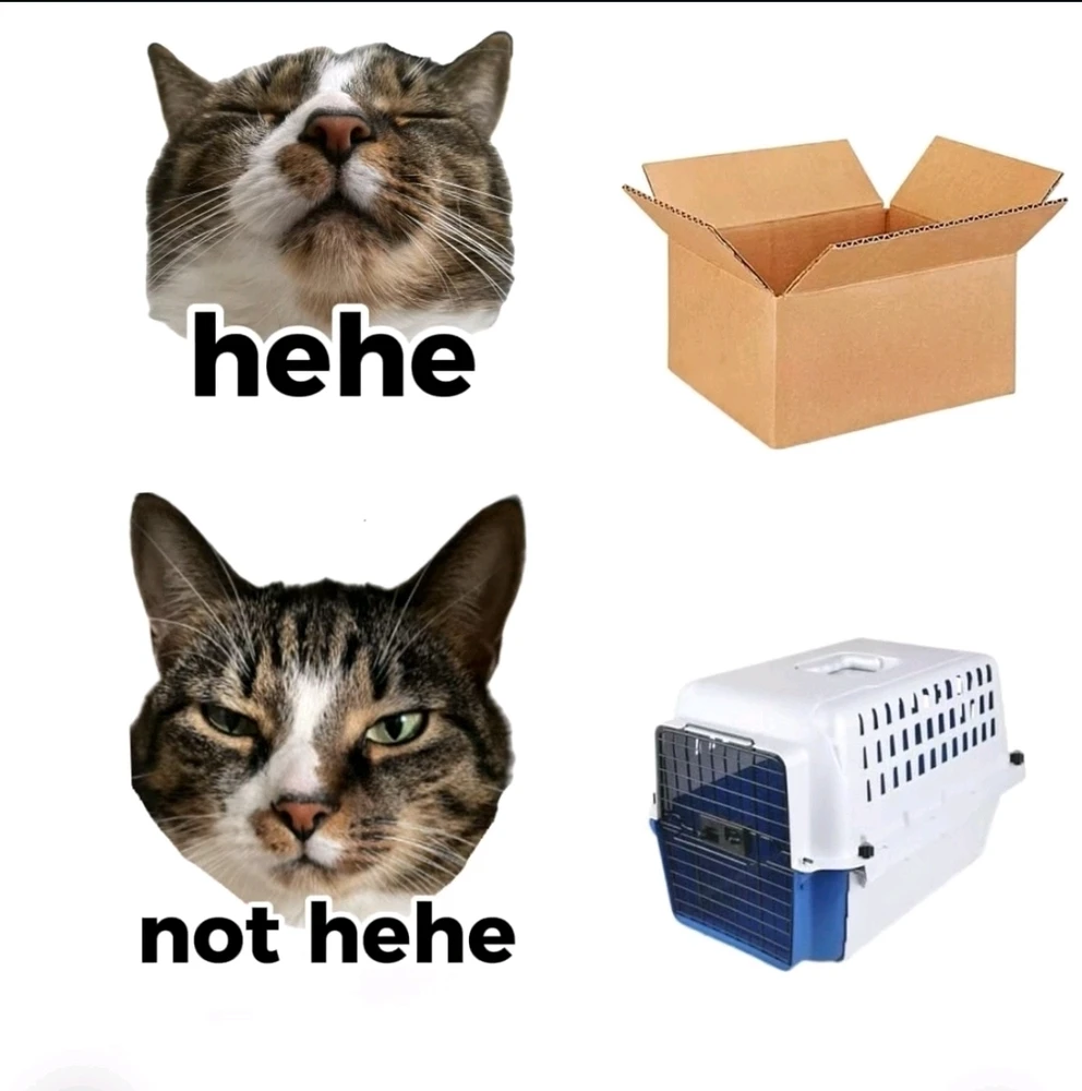 GIF hochgeladen von Kev