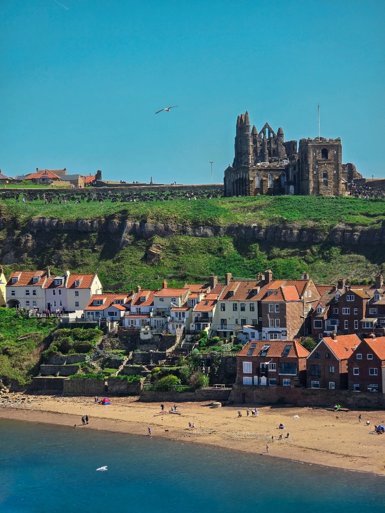 Image uploaded by Dev