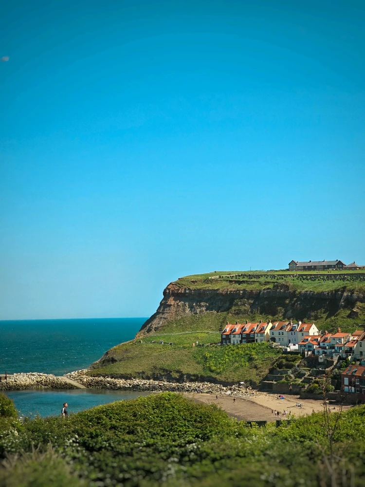 Image uploaded by Dev