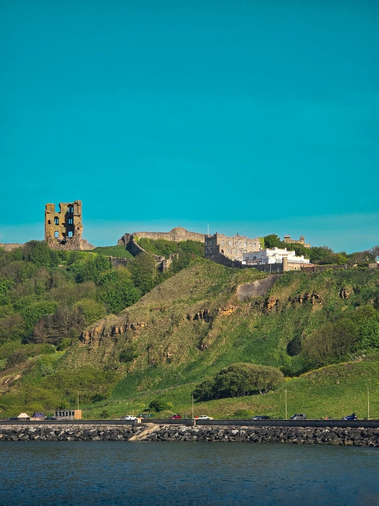 Image uploaded by Dev