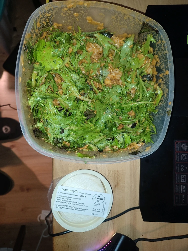 Eine Bowl aus Salat,Pastinaken,Reis, Vegetarischen Geschnetzeltem und Löwenateil Chunks und dazu noch Camembert