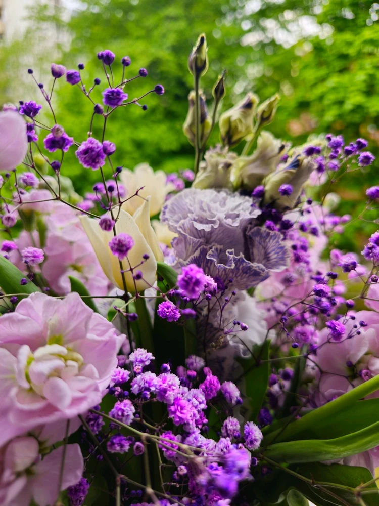 Image uploaded by Anurag