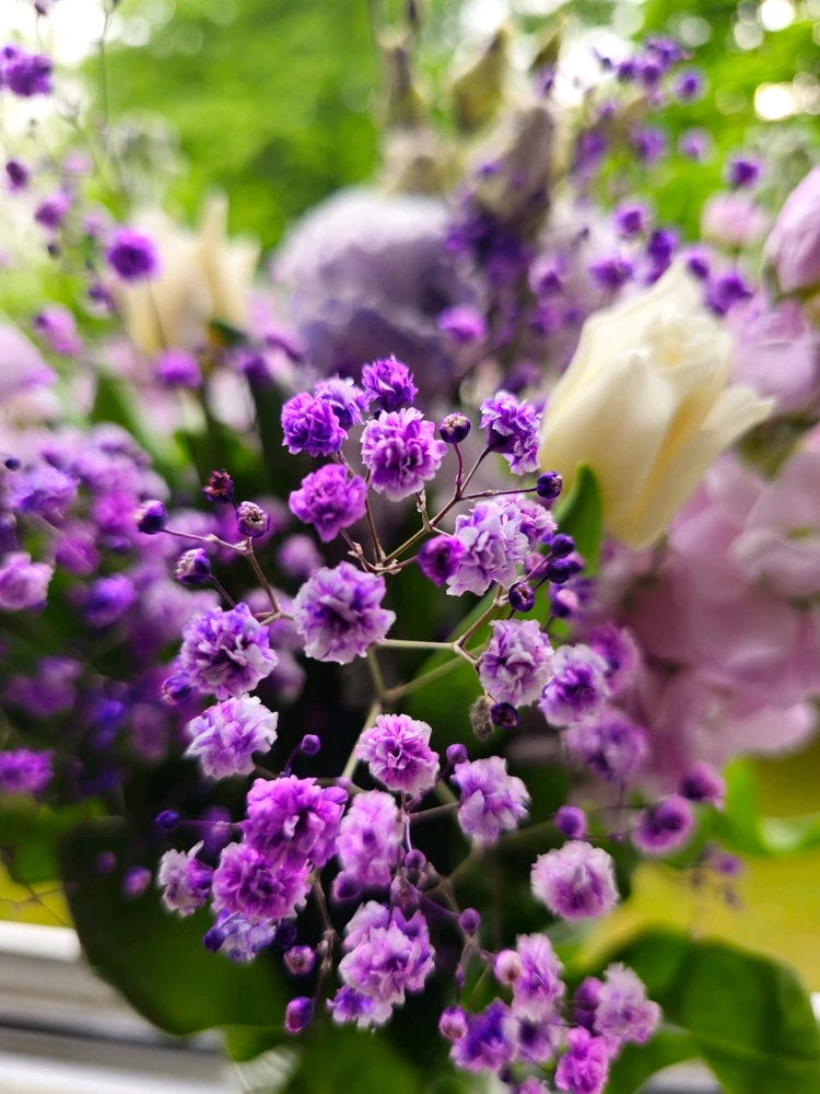 Image uploaded by Anurag