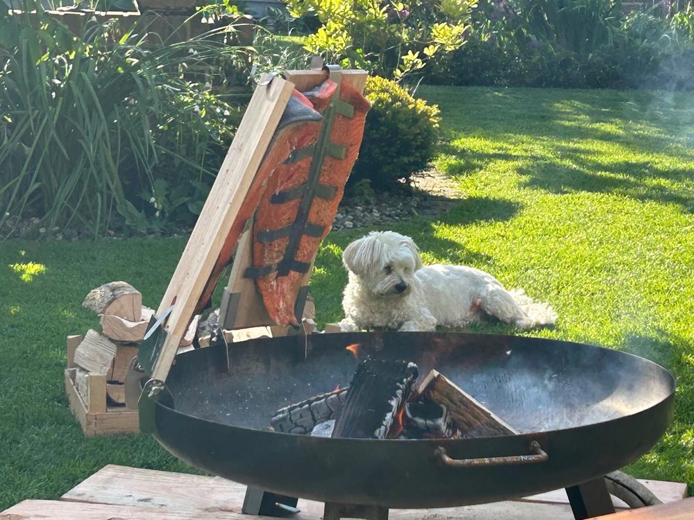 Bild hochgeladen von Chris