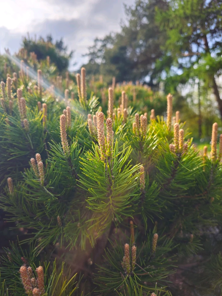 Image uploaded by Anurag