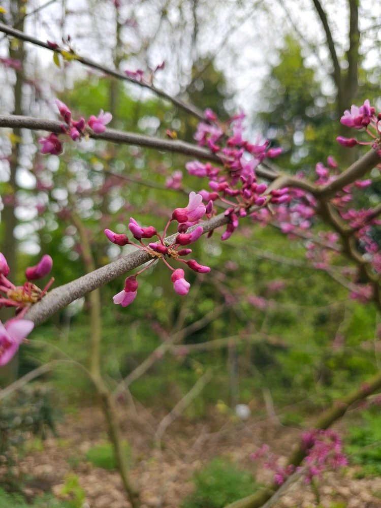 Image uploaded by Anurag