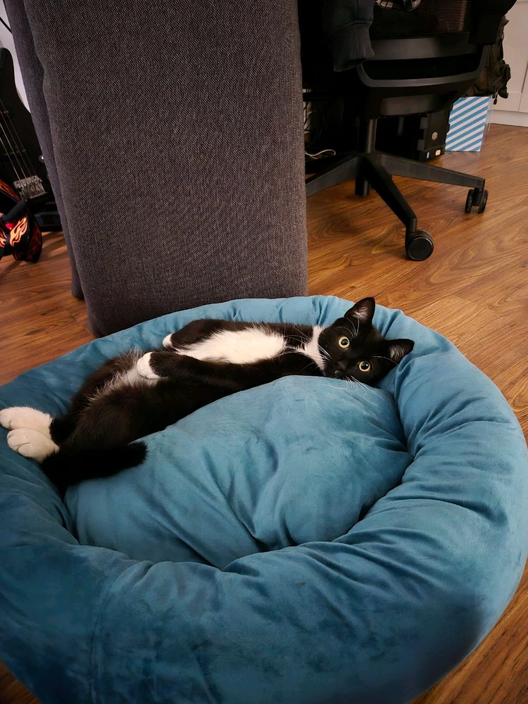 GIF įkėlė Aurimas