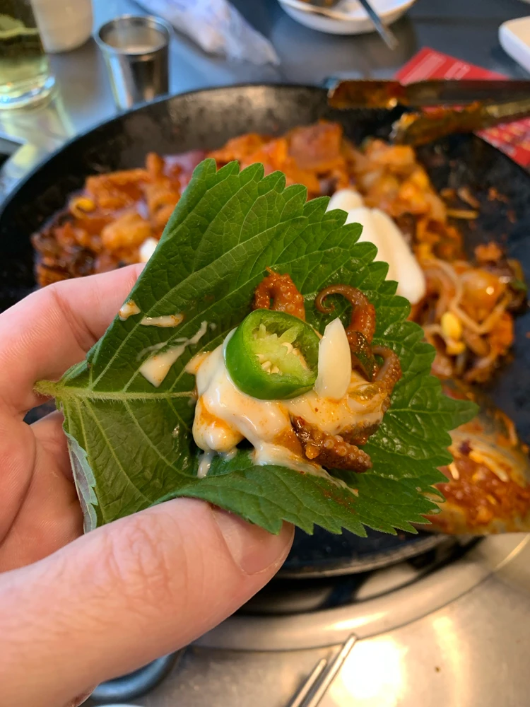 Cnk上傳的圖片