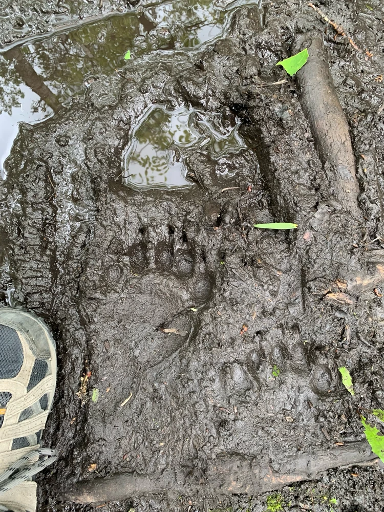 Image uploaded by Cnk