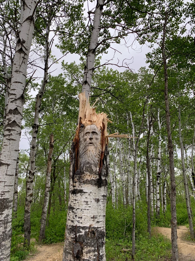 Image uploaded by Cnk