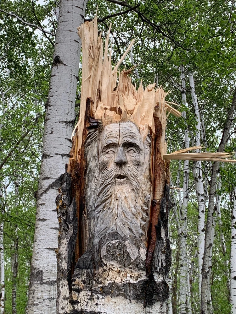 Image uploaded by Cnk