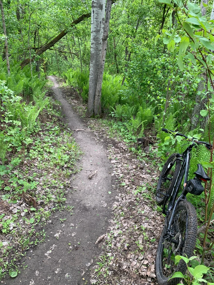 Image uploaded by Cnk