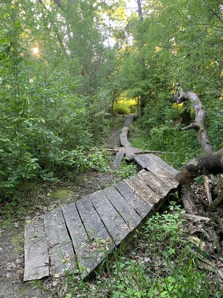 Image uploaded by Cnk