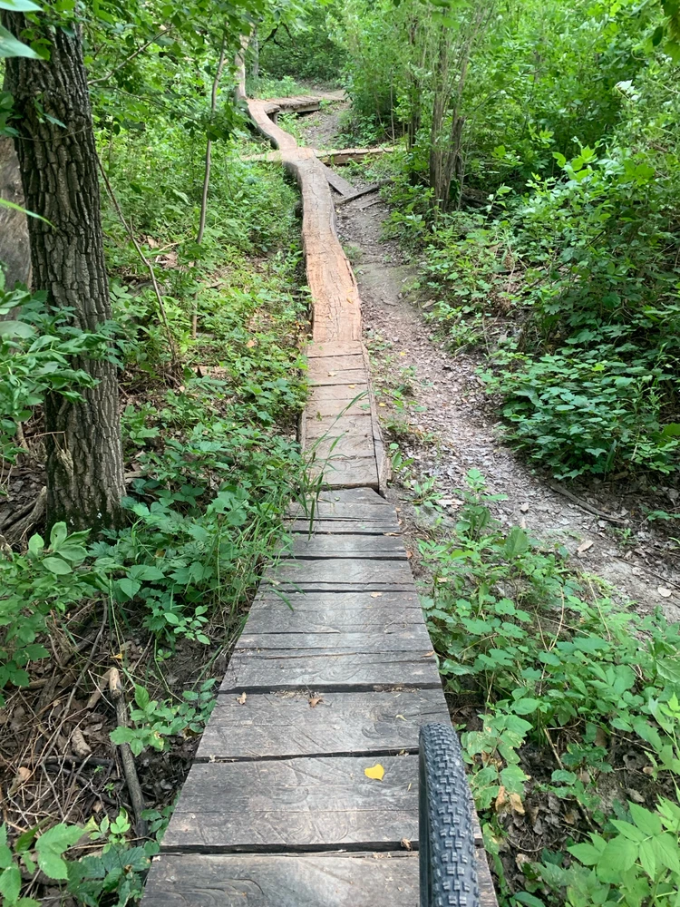 Image uploaded by Cnk