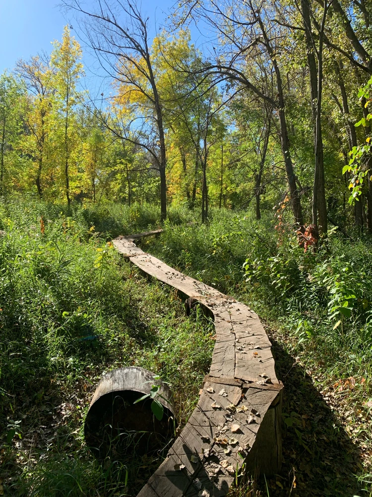 Image uploaded by Cnk