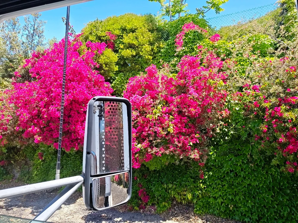 GIF uploaded by Masha