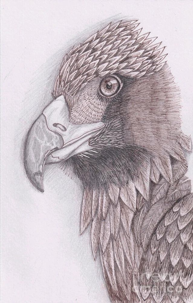 GIF uploaded by Babs