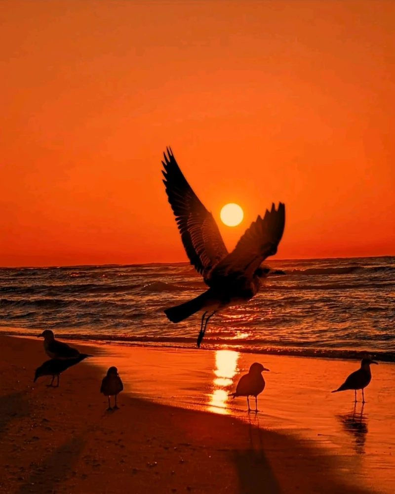 GIF uploaded by Liza