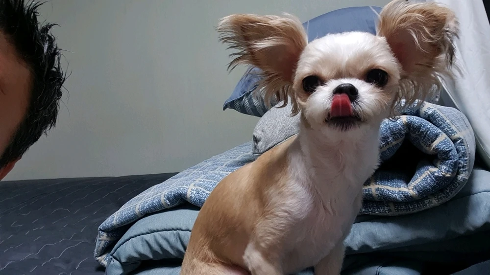 김준형님이 올린 사진