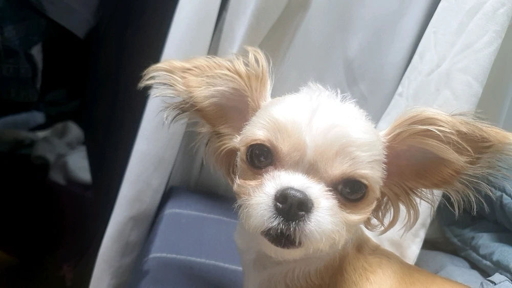 김준형님이 올린 사진