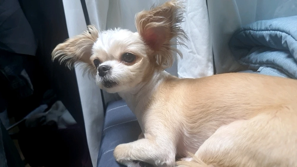 김준형님이 올린 사진