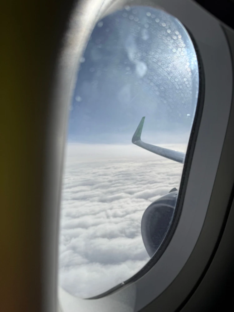 Imagen subida por Solange