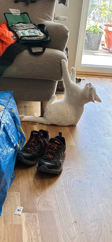 GIF uploaded by Shawn