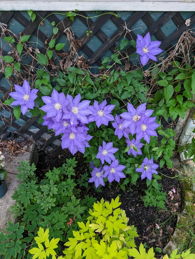 GIF uploaded by Bill