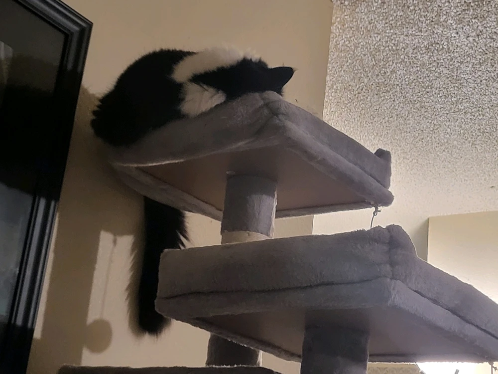 Image uploaded by Dylan