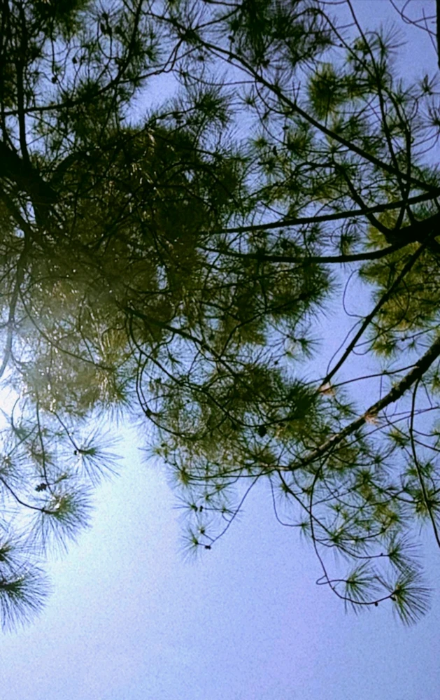 GIF diunggah oleh Dhieana