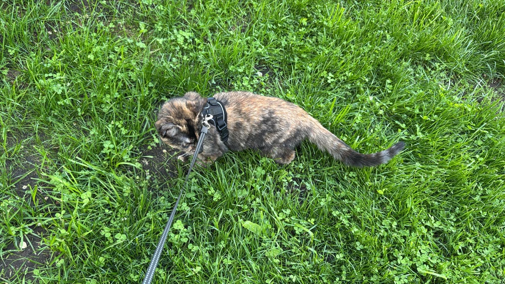 Image uploaded by David