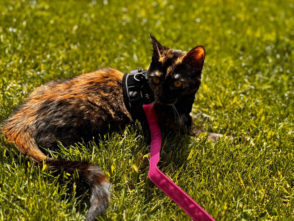 Image uploaded by David