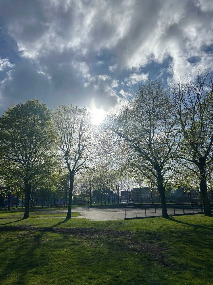 GIF uploaded by kosti