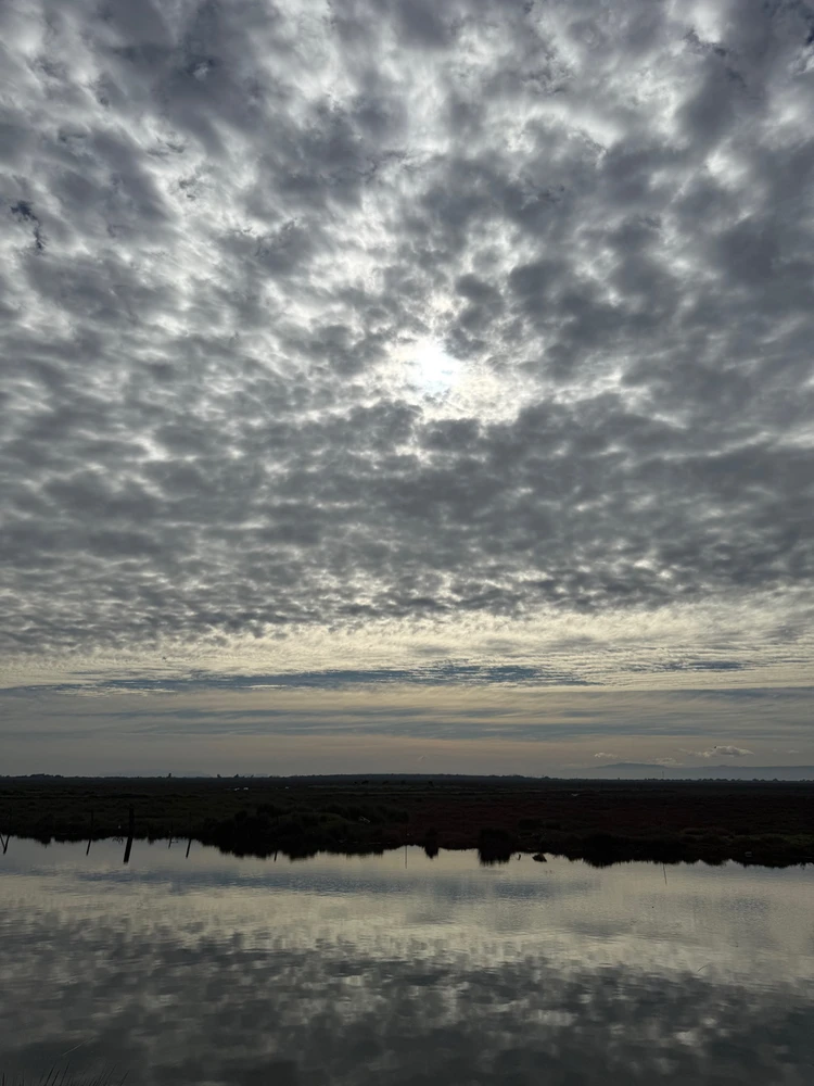 GIF subido por Scarleth