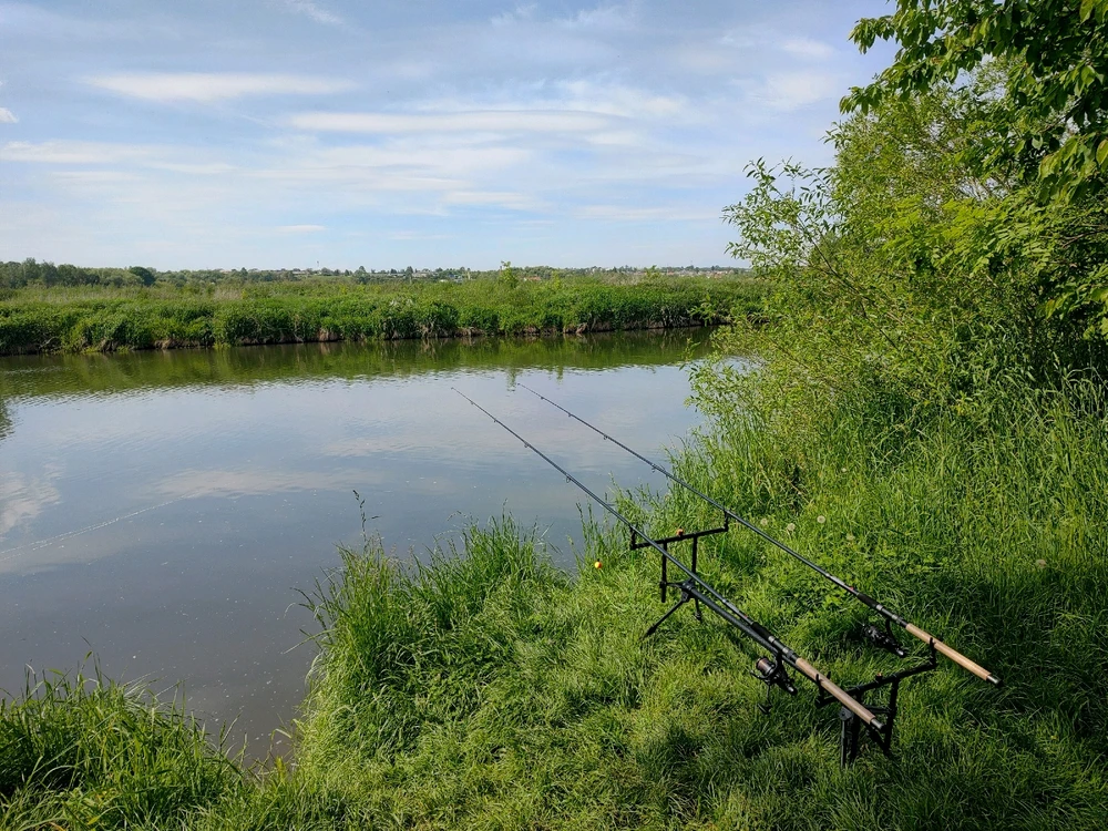 Obrázek nahrál Karel