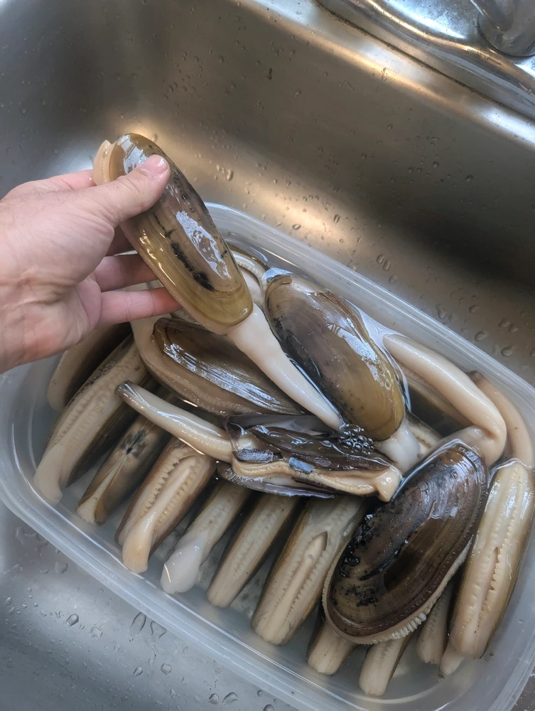 Image uploaded by 🇺🇲Daniel Fisk Bennett