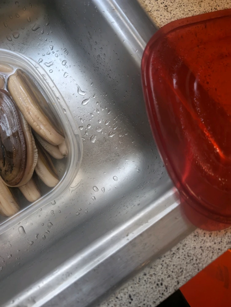 Image uploaded by 🇺🇲Daniel Fisk Bennett