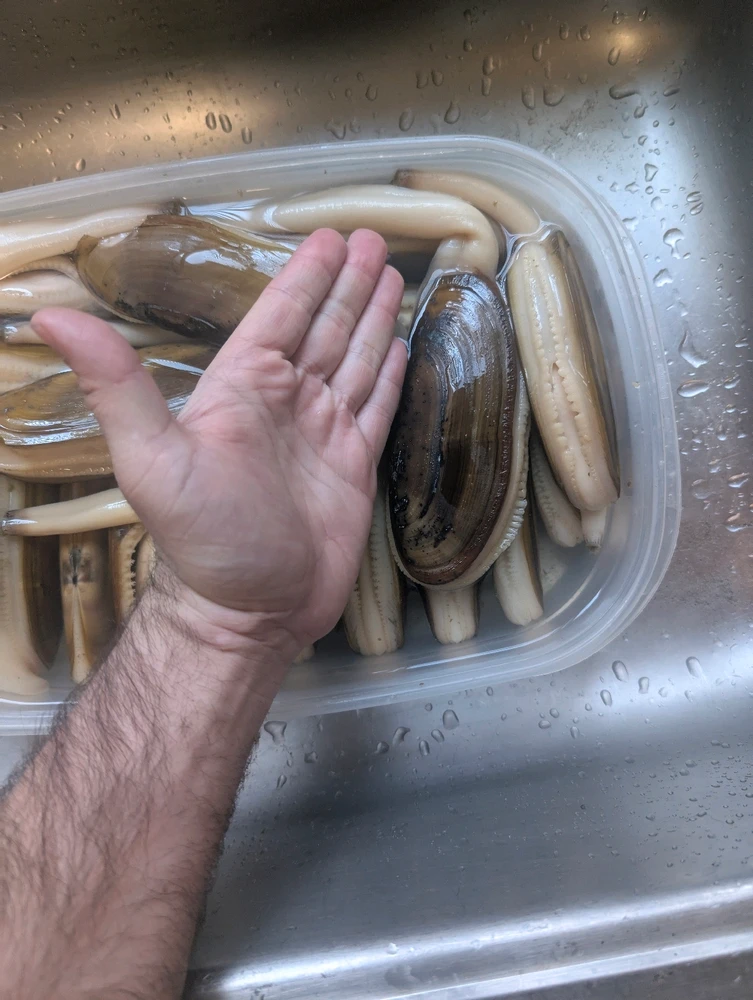 Image uploaded by 🇺🇲Daniel Fisk Bennett