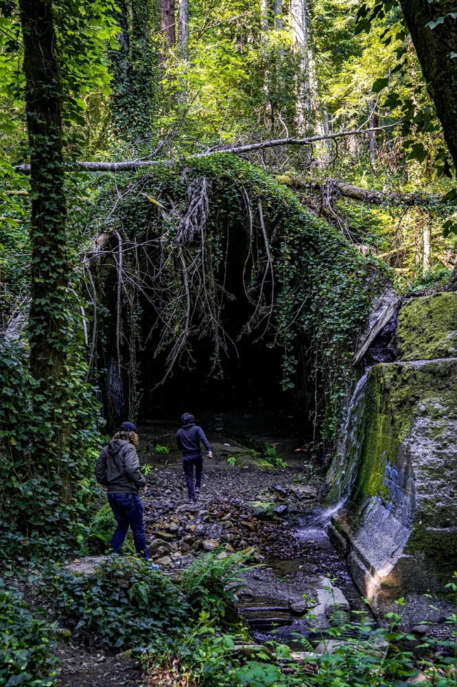 Image uploaded by Emmanuel