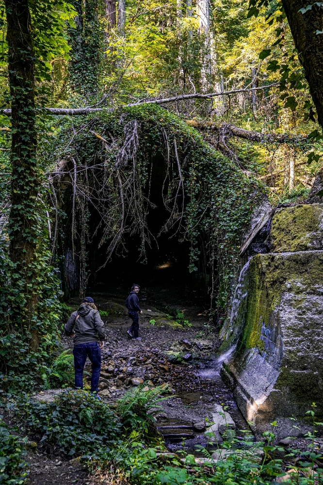 Image uploaded by Emmanuel