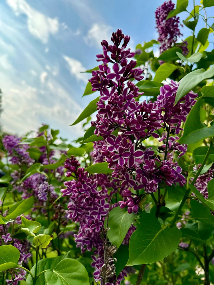 GIF uploaded by Katelynn