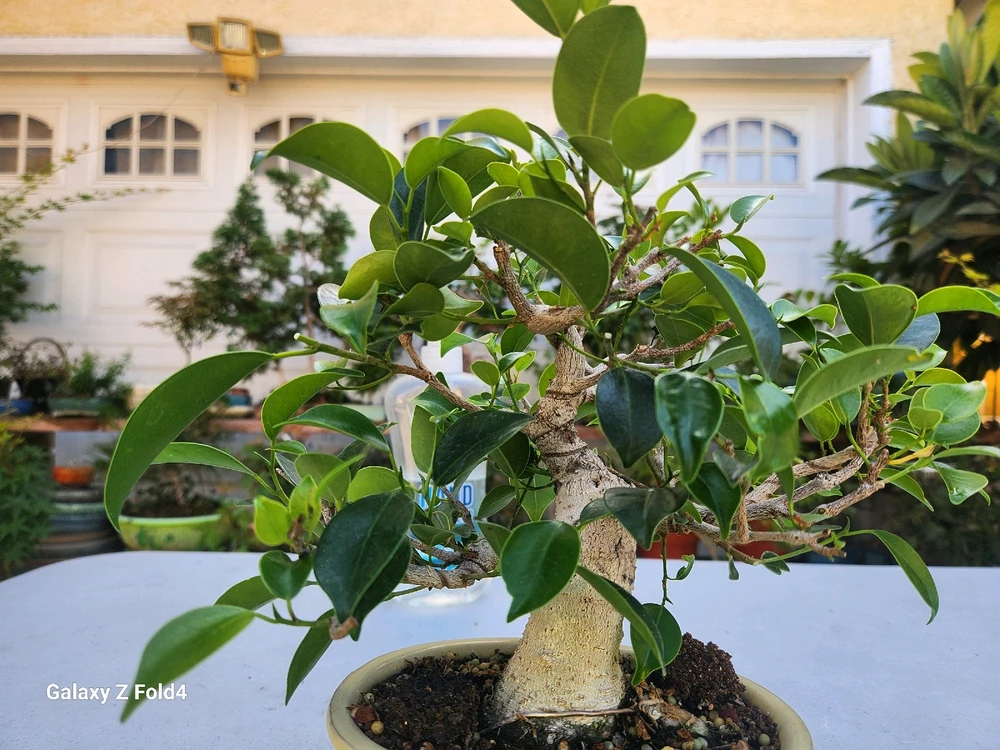 Imagen subida por Reyes