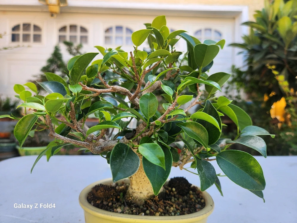 Imagen subida por Reyes