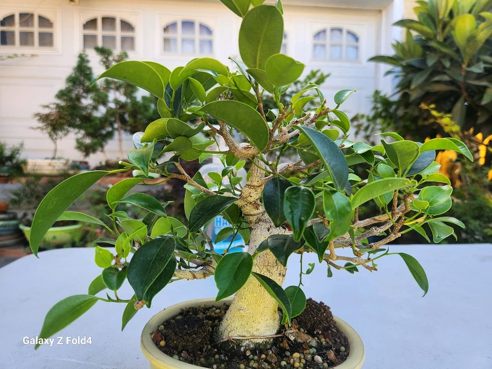 Imagen subida por Reyes