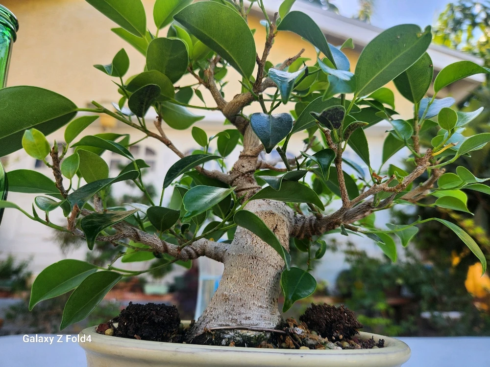 Imagen subida por Reyes