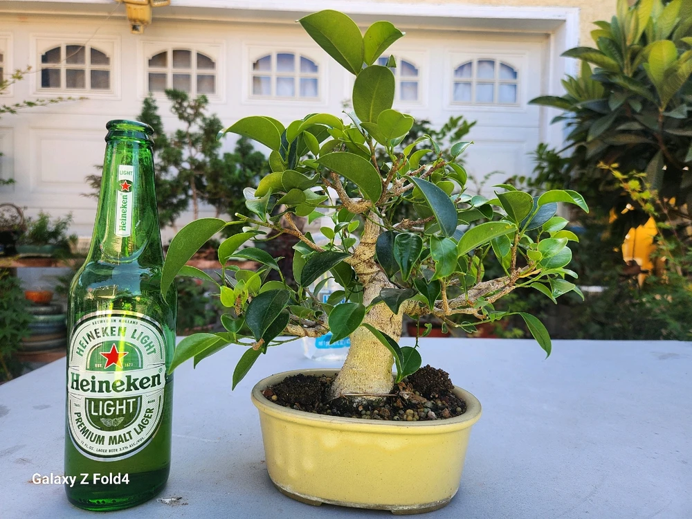 Imagen subida por Reyes