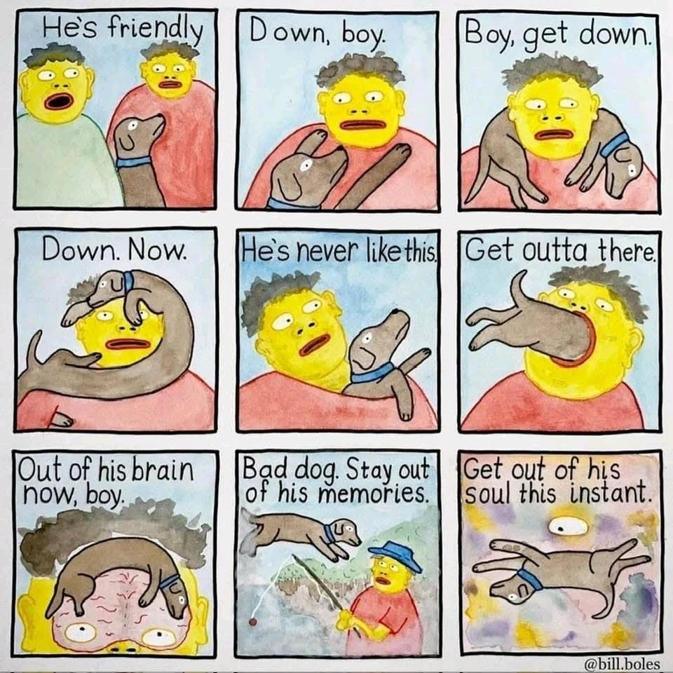 GIF uploaded by Dorota β¨