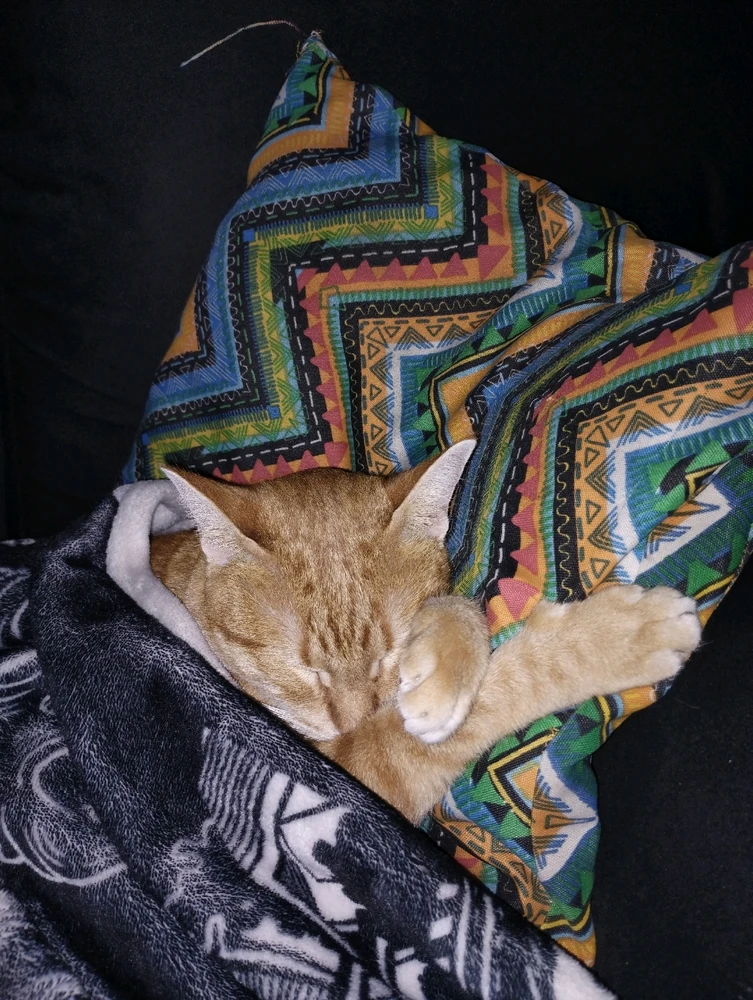 GIF subido por Derek