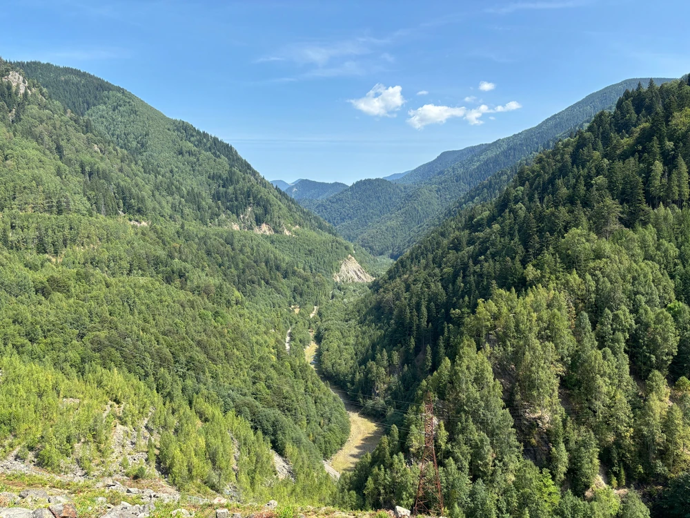 Image uploaded by Cristi
